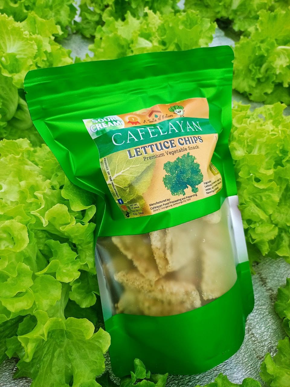 CAFELAYAN Lettuce Chips - Sour Cream Flavor